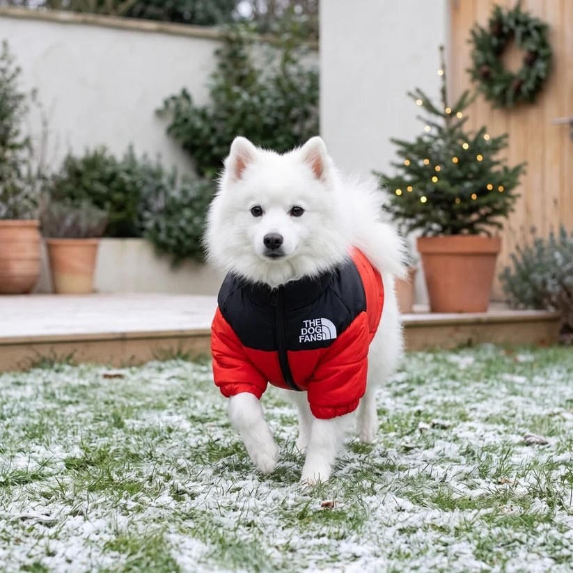 Quilted Dog Puffer Jacket with Zip & Stand-Up Collar
