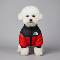 Quilted Dog Puffer Jacket with Zip & Stand-Up Collar