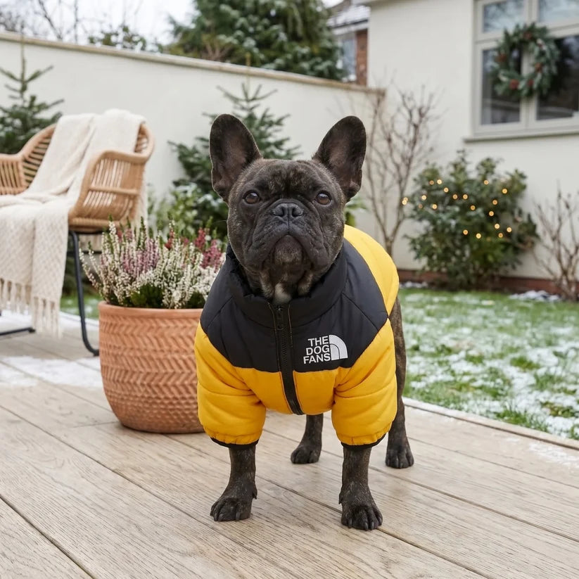 Quilted Dog Puffer Jacket with Zip & Stand-Up Collar