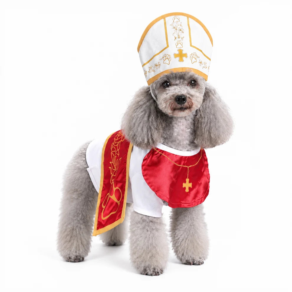 Holy Pet Costume for Cats & Small Dogs, Nun, Pope or Priest