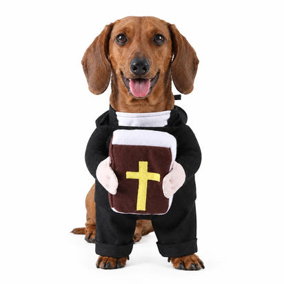 Holy Pet Costume for Cats & Small Dogs, Nun, Pope or Priest