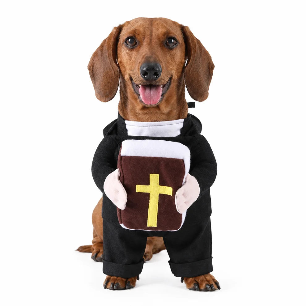 Holy Pet Costume for Cats & Small Dogs, Nun, Pope or Priest