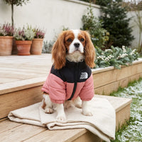 Quilted Dog Puffer Jacket with Zip & Stand-Up Collar