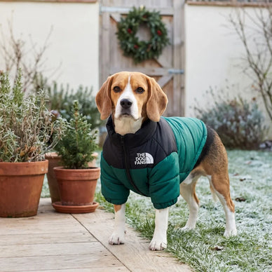 Loved by 10,000+ Dog Owners