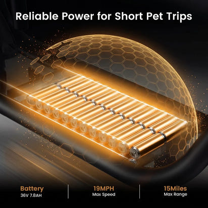 Electric Scooter with Built-In Pet Basket & 350W Motor